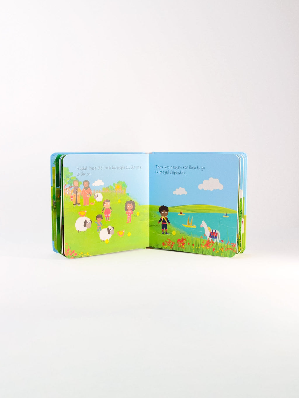 Full Set of 7 : PREORDER